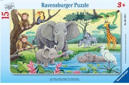 Puzzle 15 Afrykańskie zwierzęta Ravensburger