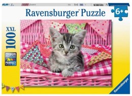 Puzzle XXL 100 Słodkie kotki Ravensburger