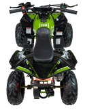 Pojazd Quad Spalinowy RENEGADE HighPer 110CC Zielony