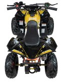 Pojazd Quad Spalinowy RENEGADE HighPer 110CC Żółty